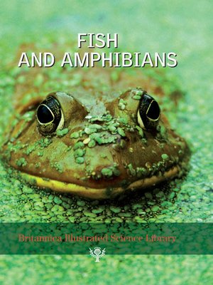 cover image of Britannica Illustrated Science Library: Fish and Amphibians
